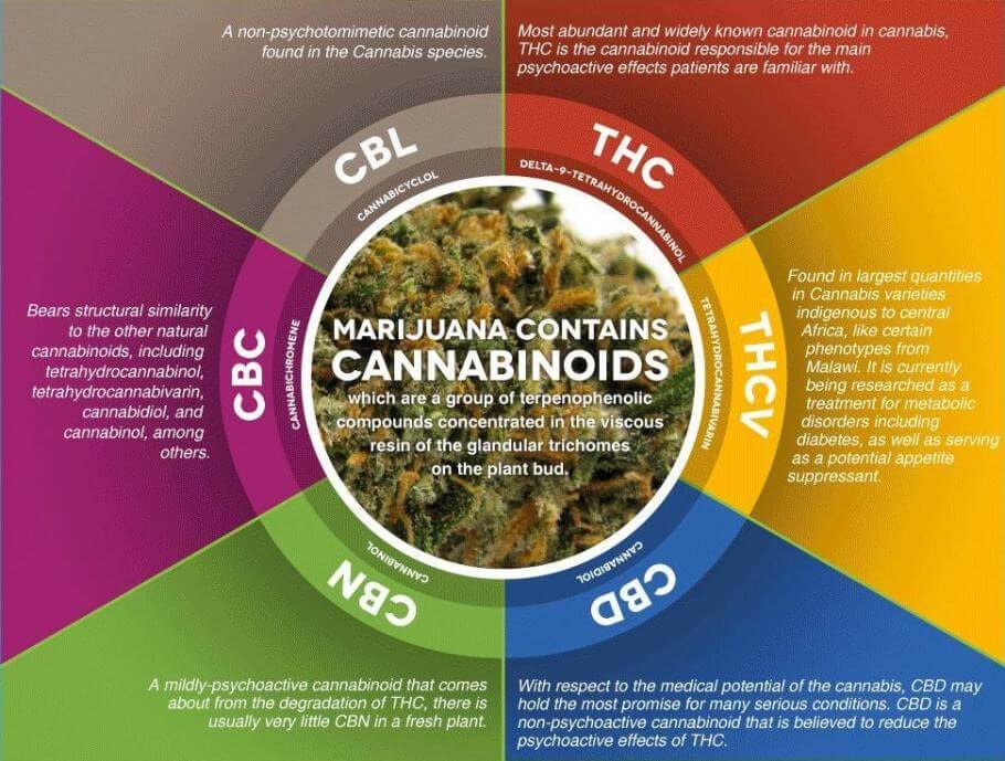 Die wichtigsten Cannabinoide von Marihuana