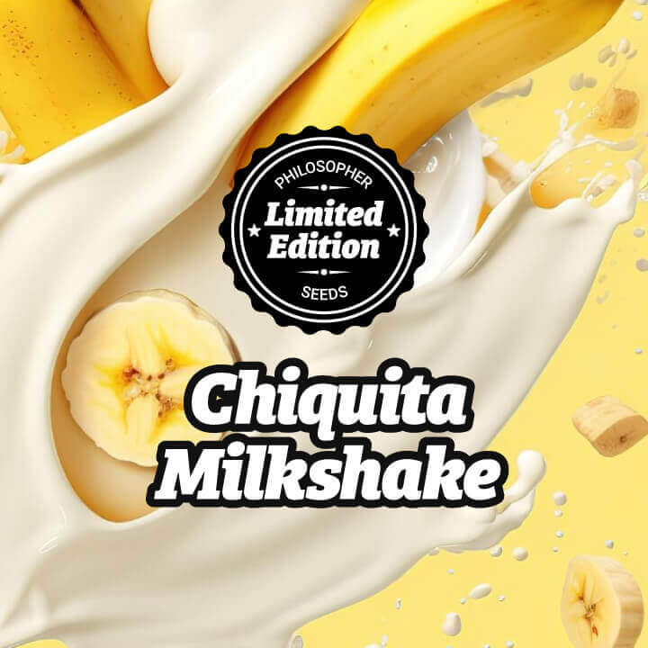 Chiquita Milkshake mischt das Beste von Chiquita Banana und Kush Mints