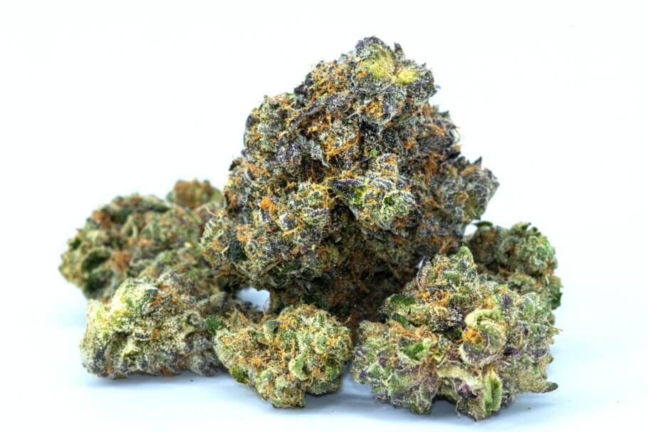 Große Sunset-Sherbet-Knospen, mit einem THC-Gehalt von etwa 25 %