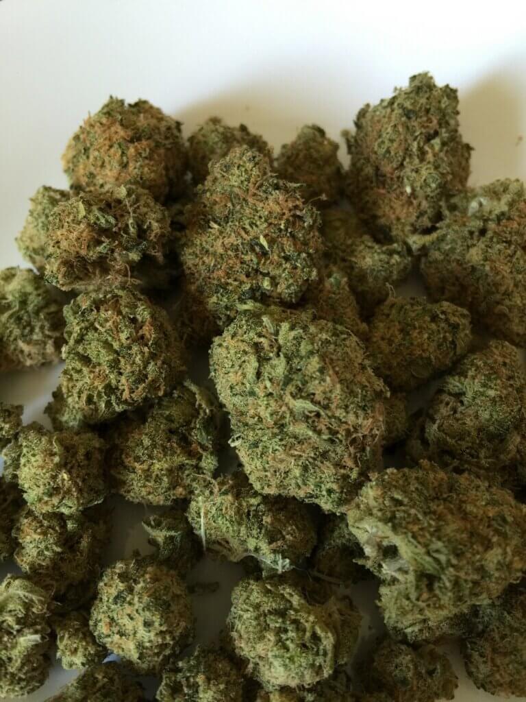 Cannabisblüten können eingefroren werden, um ihre organoleptischen Eigenschaften zu bewahren