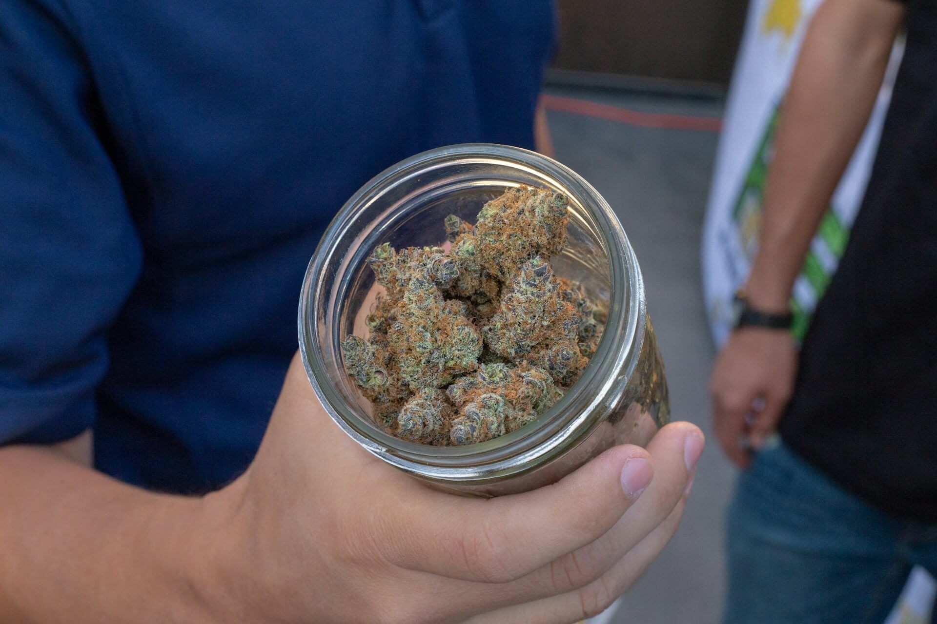 Cannabinoide wie CBG oder CBG) können in kleinen Mengen in einigen Cannabisblüten wie diesen gefunden werden (Bild: Jeff W)