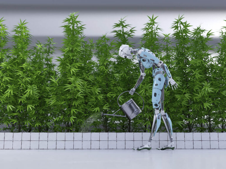 Cannabisanbau der Zukunft