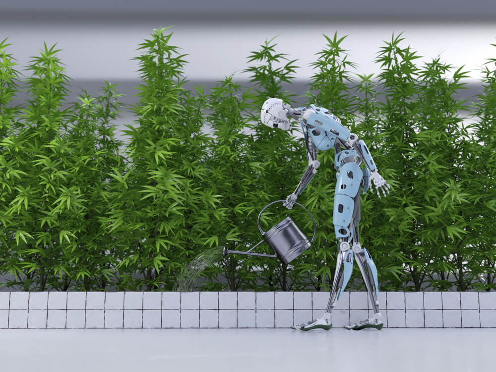 Sicherlich werden wir nie Roboter mit Gießkannen sehen, aber wir werden vollautomatische Anbausysteme von der Keimung bis zur Ernte sehen.