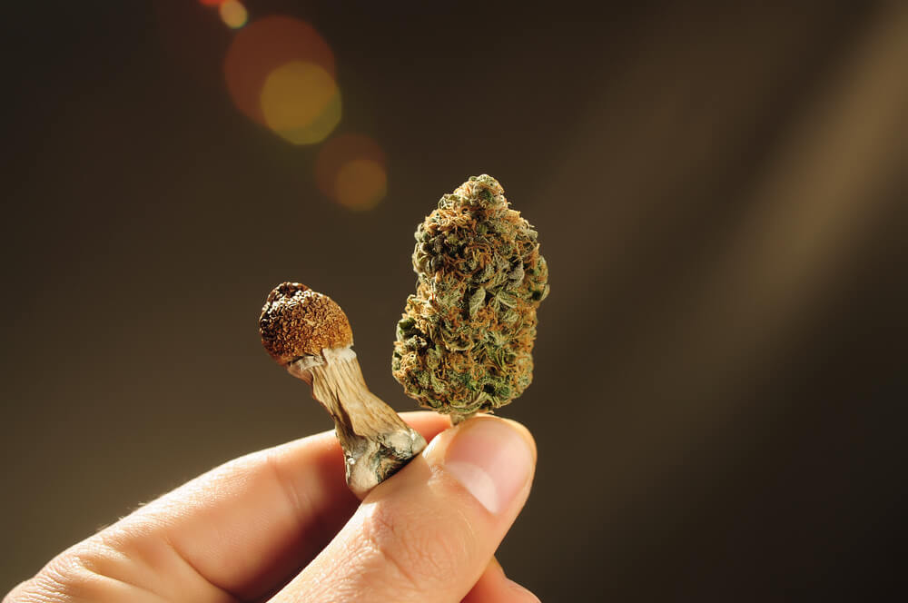 Wechselwirkung von Psilocybin mit anderen psychoaktiven Substanzen