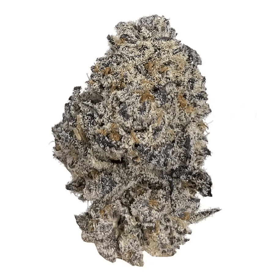 Die Blüten von Original Oreoz von Grower's Choice sind authentische Steine, die mit Hunderten von Trichomen bedeckt sind