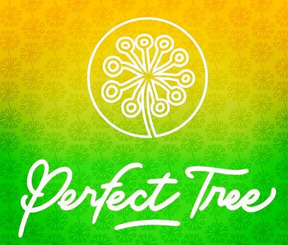  Perfect Tree, hochwertige Genetik mit eigener Persönlichkeit