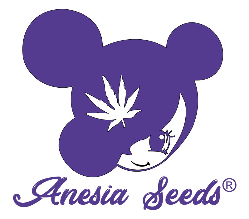 Anesia Seeds steht für Innovation, Qualität…und viel Power!