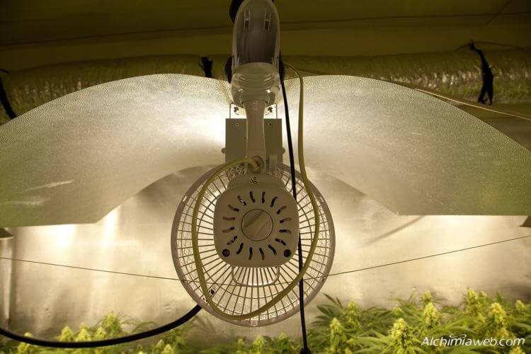 Ein Ventilator, der die Luft bewegt und vor der Glühbirne platziert wird, ist eine sehr gute Idee