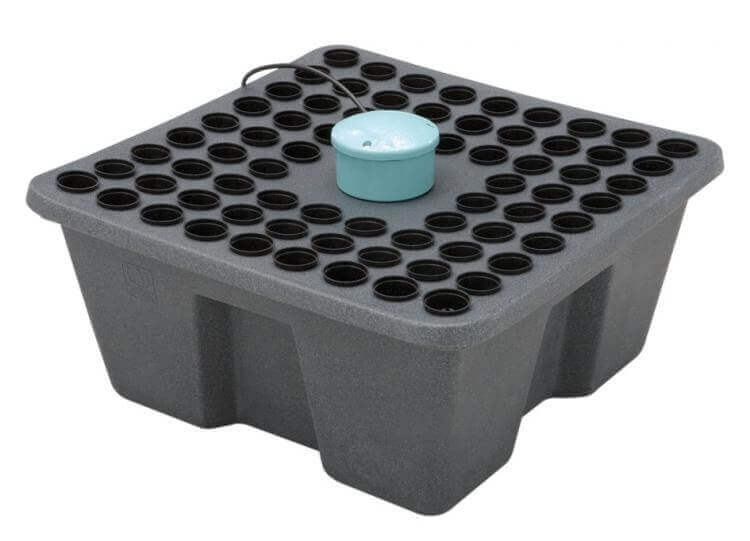 Das beliebte Rainforest Hydroponic Klonsystem von GHE