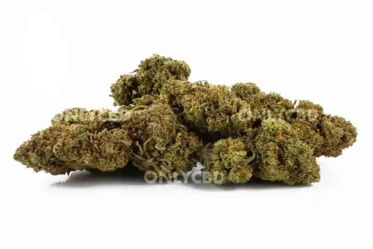 Amnesia OG Greenhouse von Only CBD hat 10% CBD