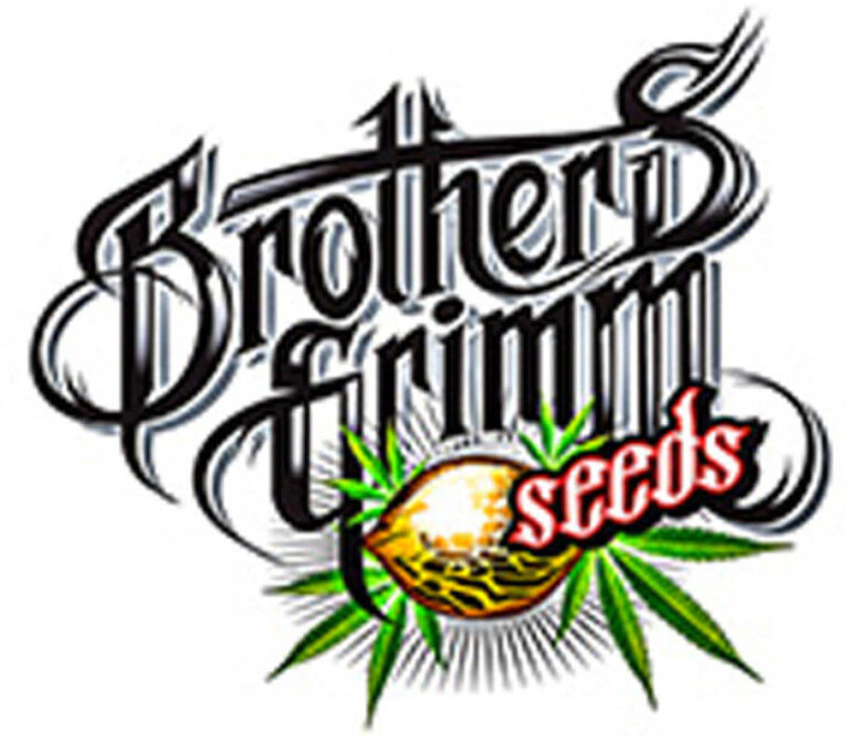 Geschichte der Brothers Grimm Seeds und Interview mit MrSoul