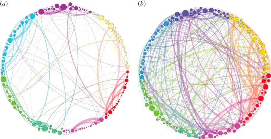 Visualisierung der Gehirnverbindungen bei einer Person, die Psilocybin einnimmt (rechts) und einer Person, die ein Placebo erhält (links)