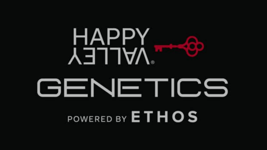 Wir begrüßen Happy Valley Genetics bei Alchimia