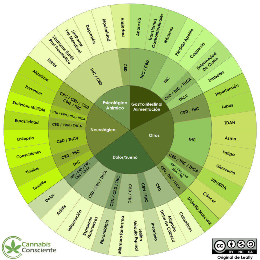  Cannabinoide und ihre therapeutischen Anwendungen (Quelle: Cannabisconsciente.com)
