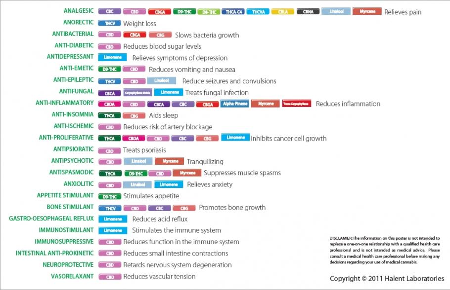 Synergistic effects of terpenes and cannnabinoids. (source: Halent Laboratories)