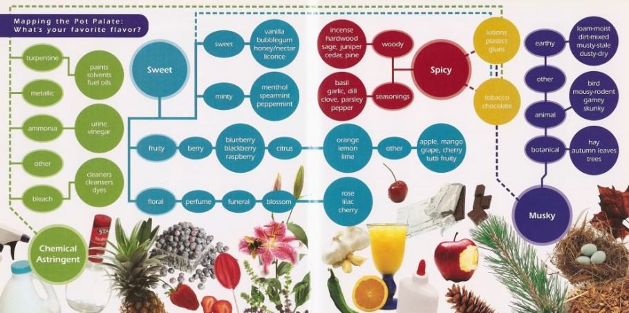 Chart of marijuana aromas (source: Big Book of Buds)