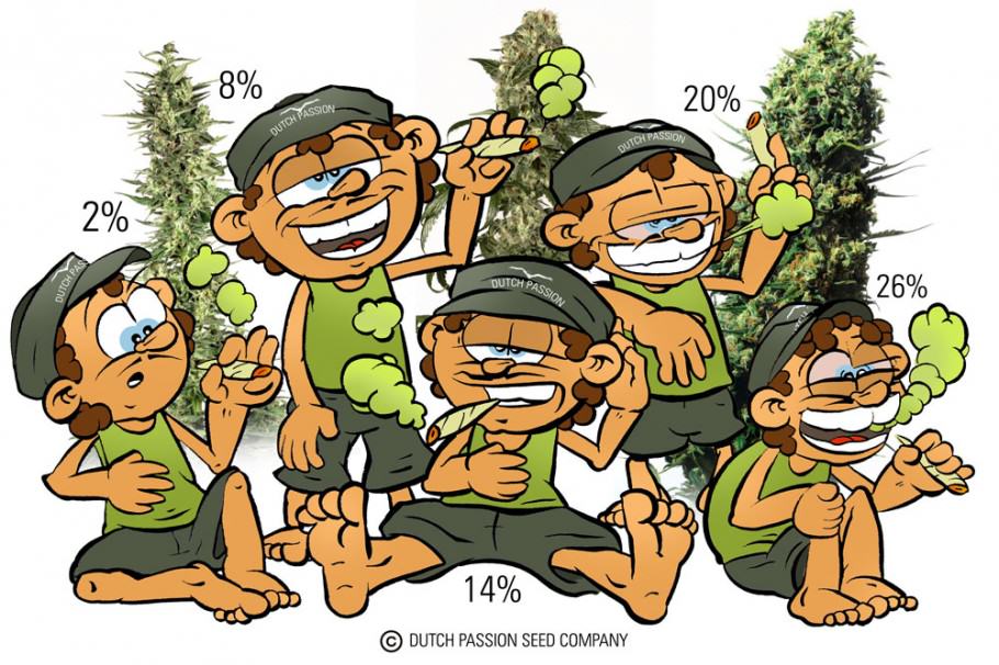 Levels of THC in marijuana