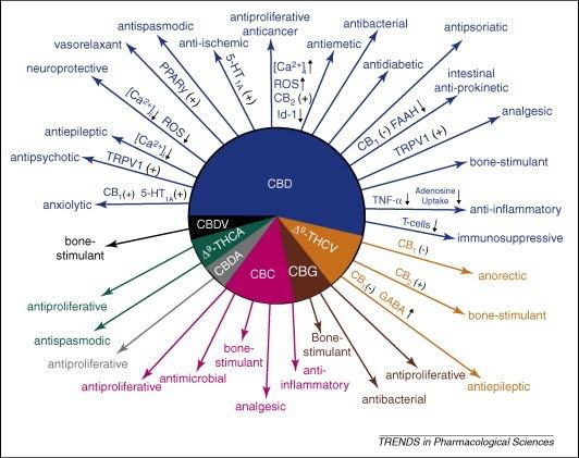 Cannabinoid properties