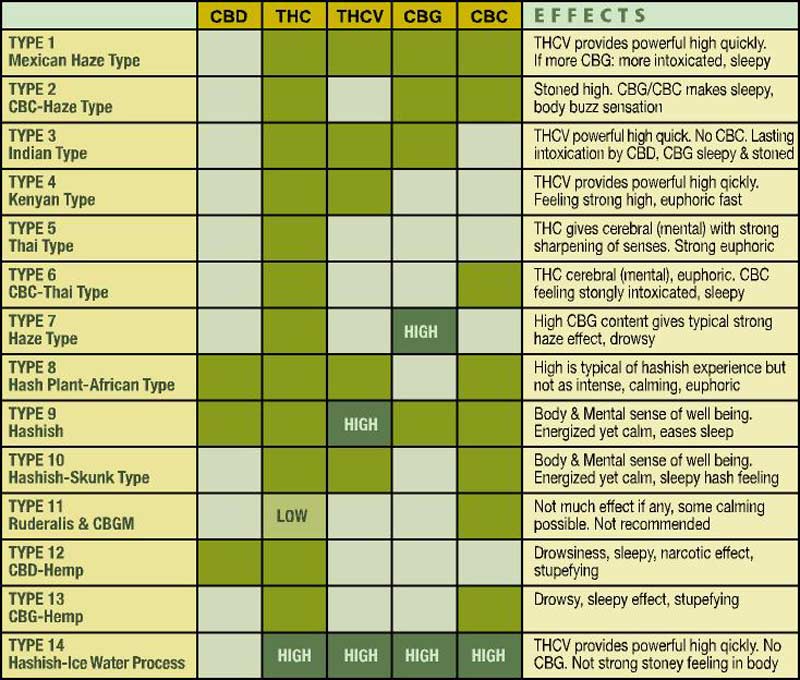 Chemotypes of marijuana