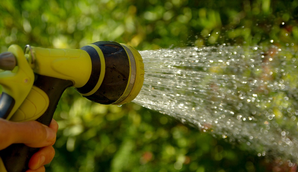 Watering correctly is essential for the correct development of plants, wherever you grow (Image: Freepik)