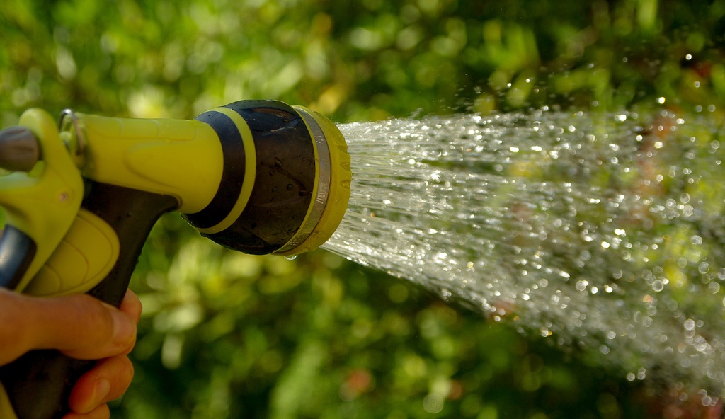 How to water marijuana plants in soil