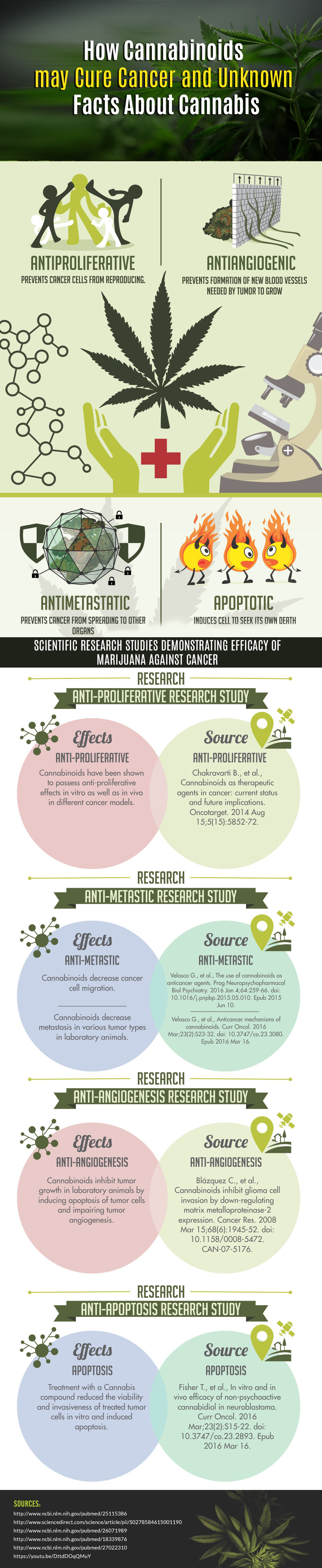 Thanks to J. Adams for this very nice infographic ! :) Cannabis VS Cancer (<a href=