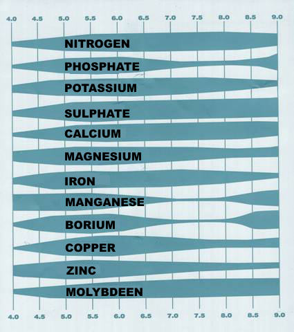 PH table and nutrient assimilation