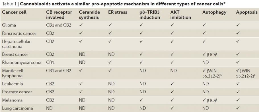 Apoptopic mechanisms of cancer cells induced by cannabinoids Cannabinoids induce apoptosis of various cell types