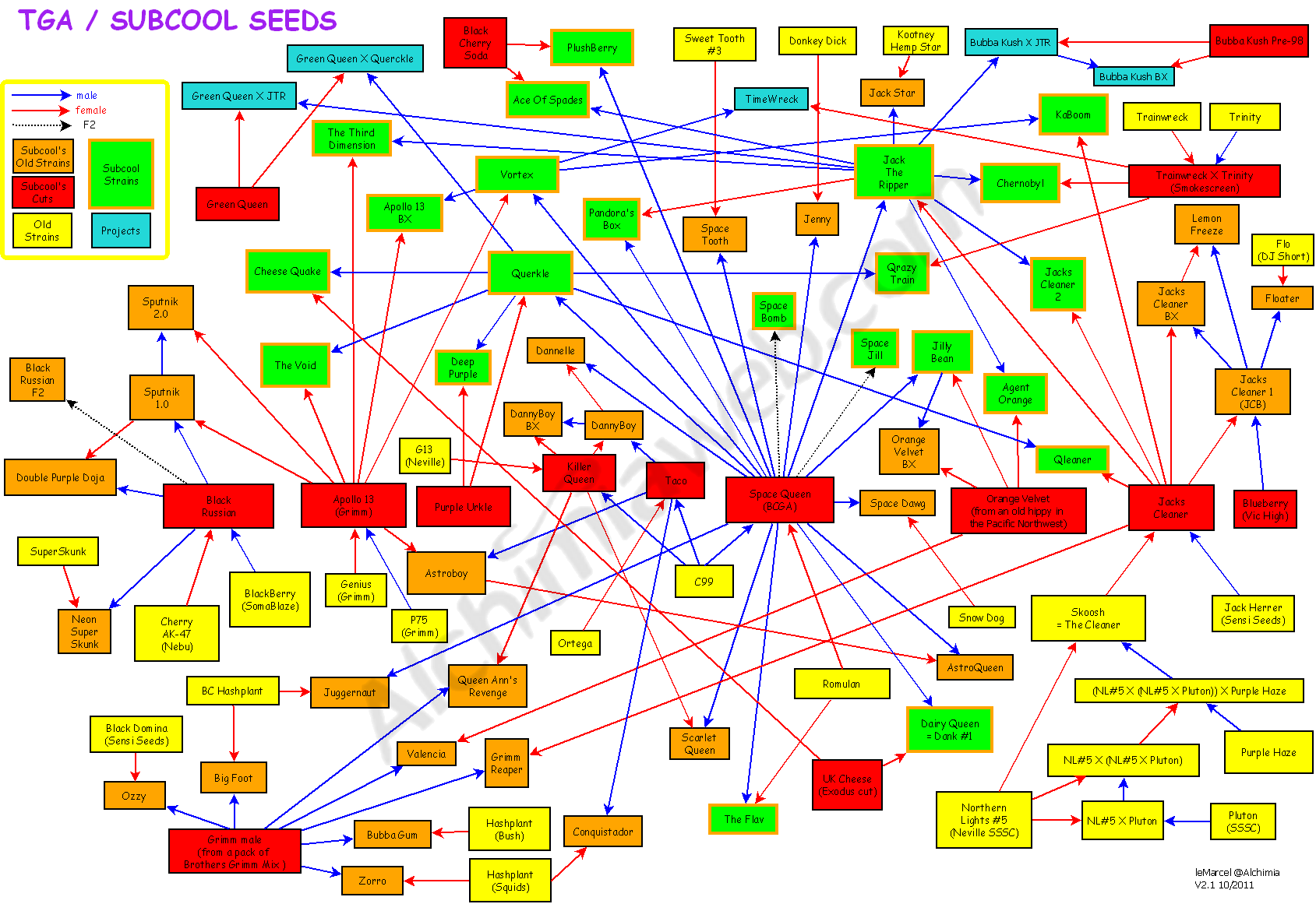 Family tree of Subcool's strains
