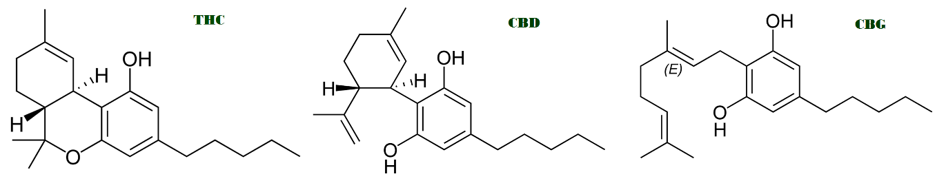 Phytocannabinoids