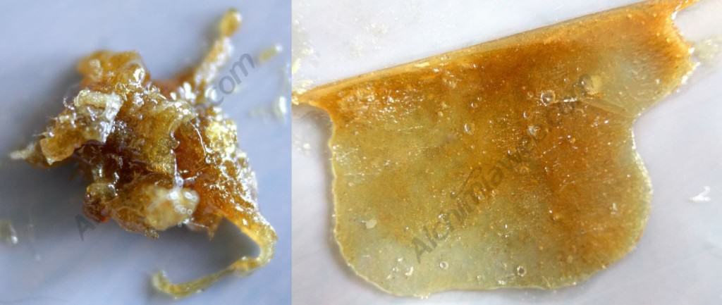 resultat-Rosin-tech-cannabis (1)