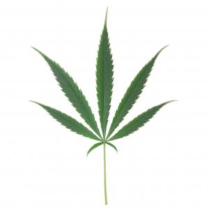 Onset of the deficiency