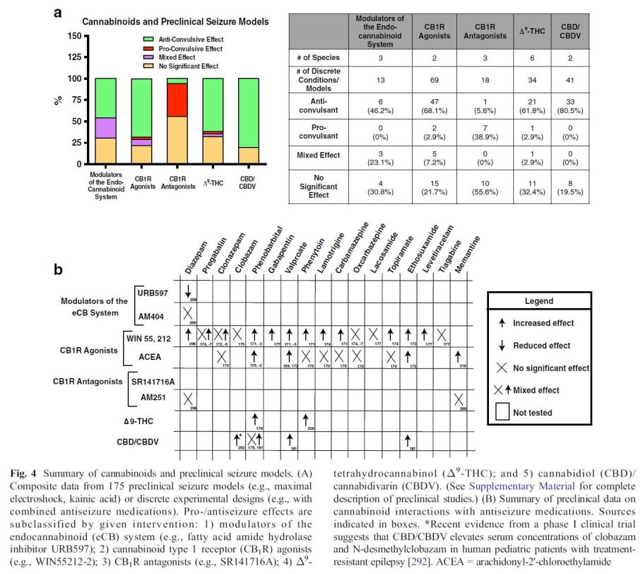 Interactions between cannabinoids and the medicines prescribed to treat epilepsy