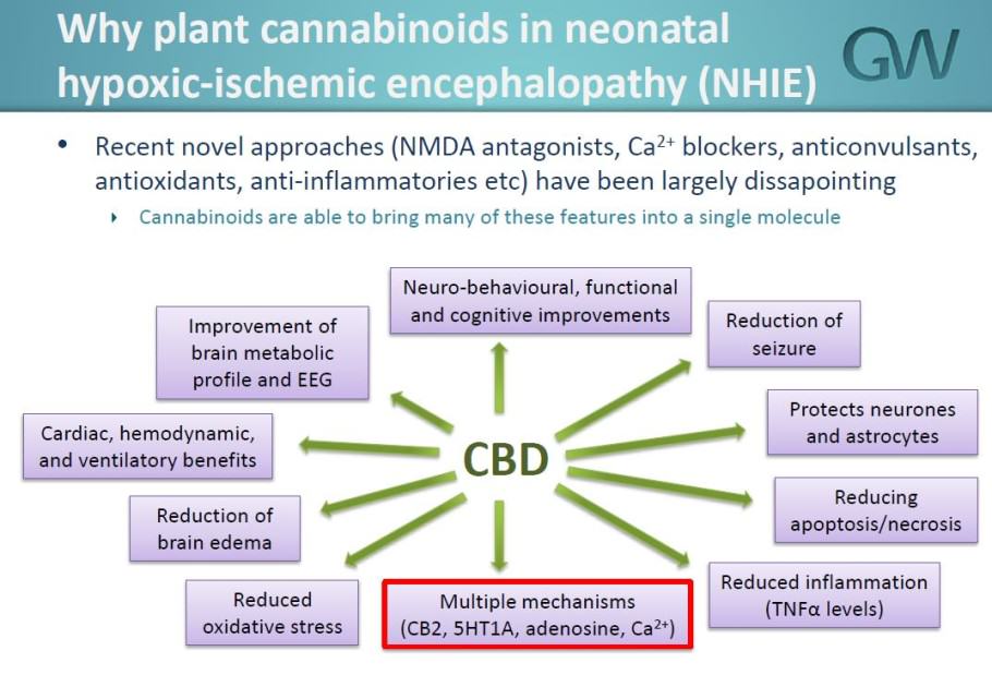 CBD for new born babies