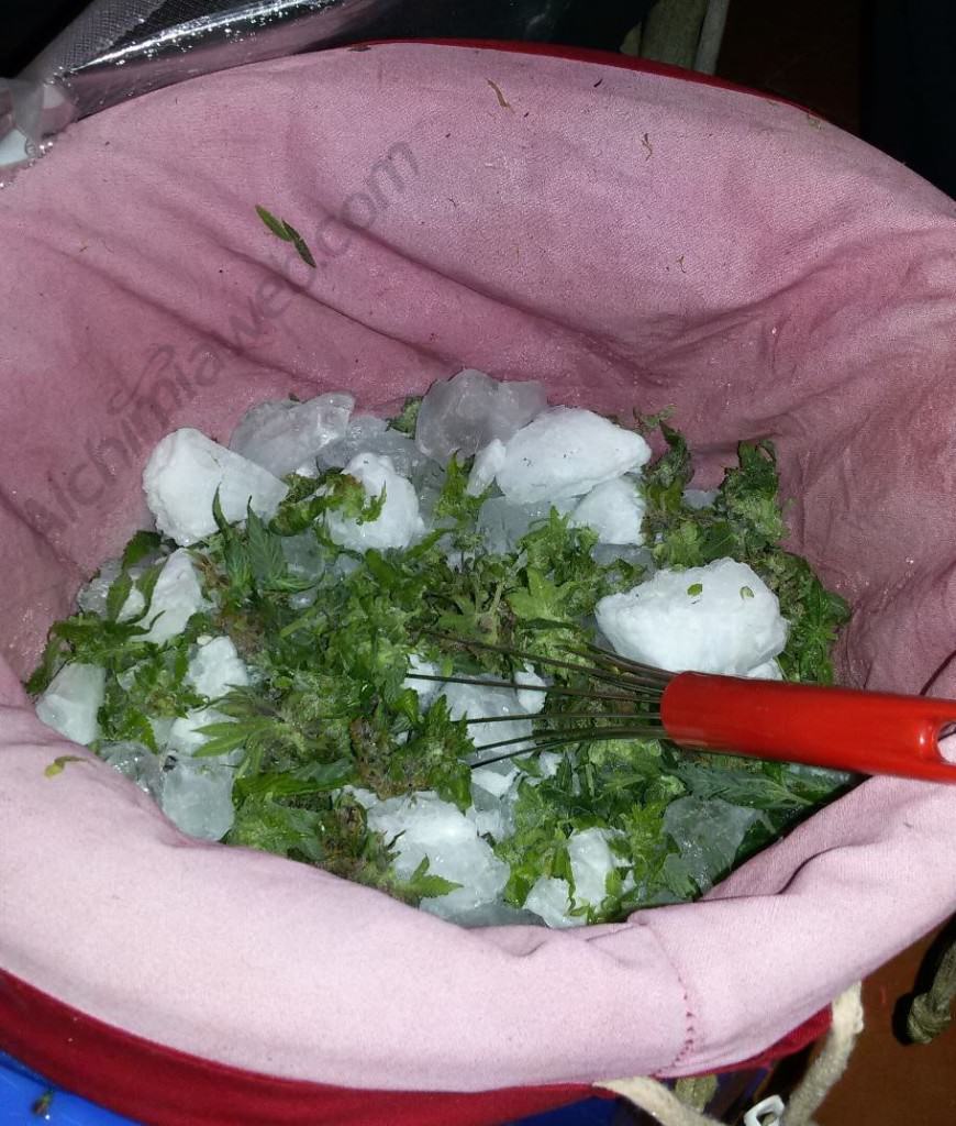 fresh frozen bubble hash tutorial fresh frozen bubble hash tutorial