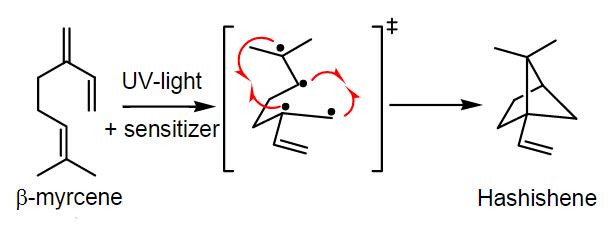 Hashishene synthesis