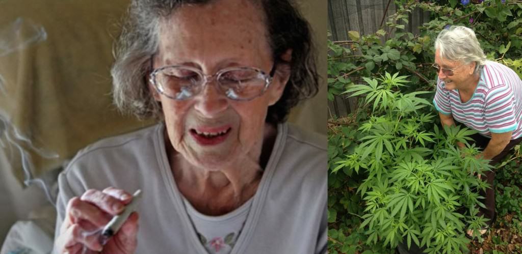 Cannabis and Alzheimer's disease