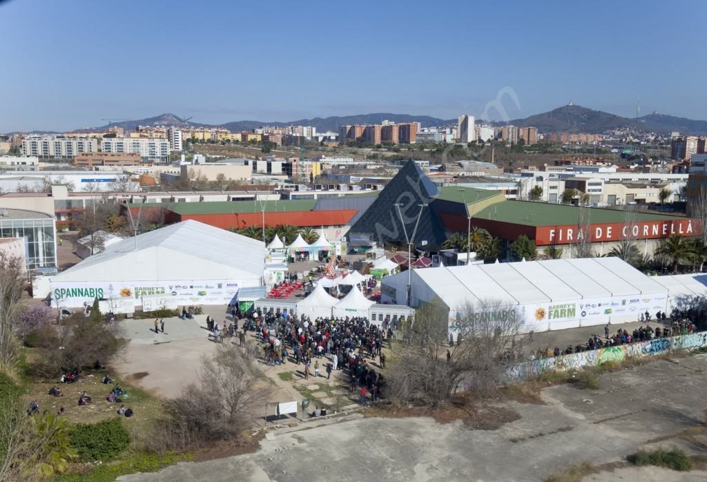 2016 Spannabis, Cornellà fairground