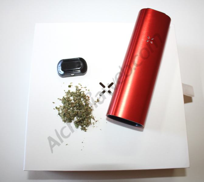 Preparing Pax2 for its use