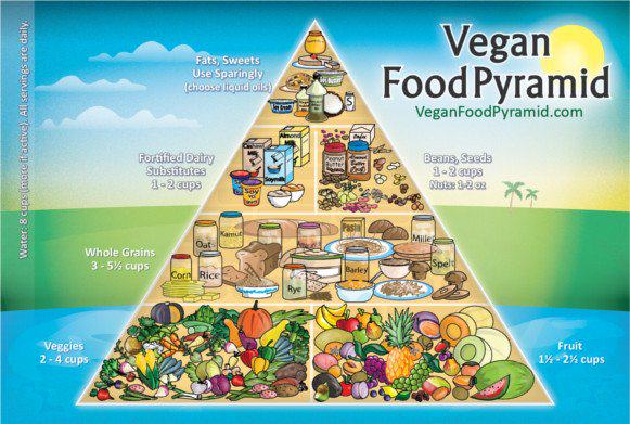 Vegan Food Pyramid 