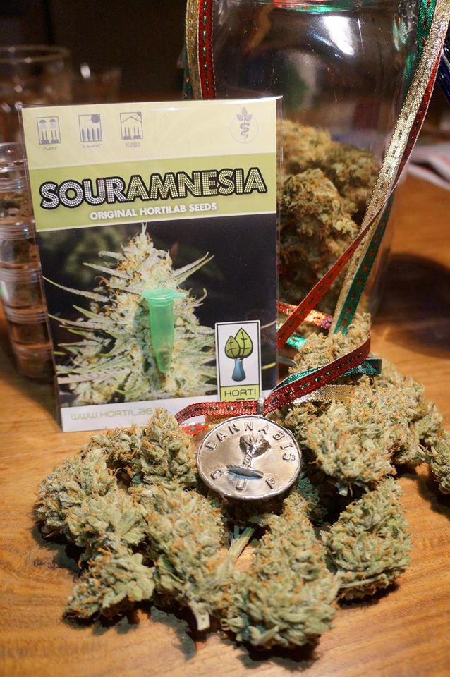 Sour Amnesia by HortiLab, tested and approved by our team