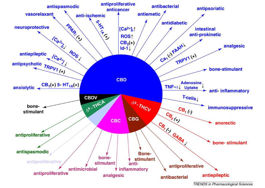 Medicinal properties of several cannabinoids