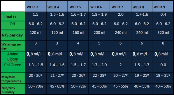 Feeding schedule, weeks 3-9