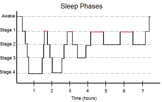 Simplified sleep phases