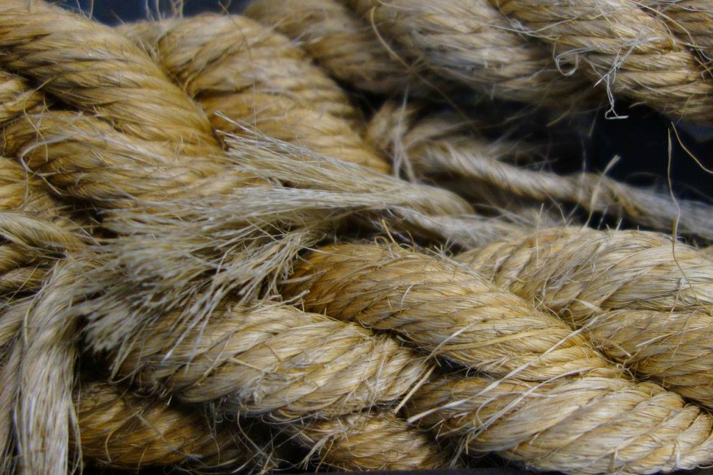 Europe was in need of hemp ropes and sails 
