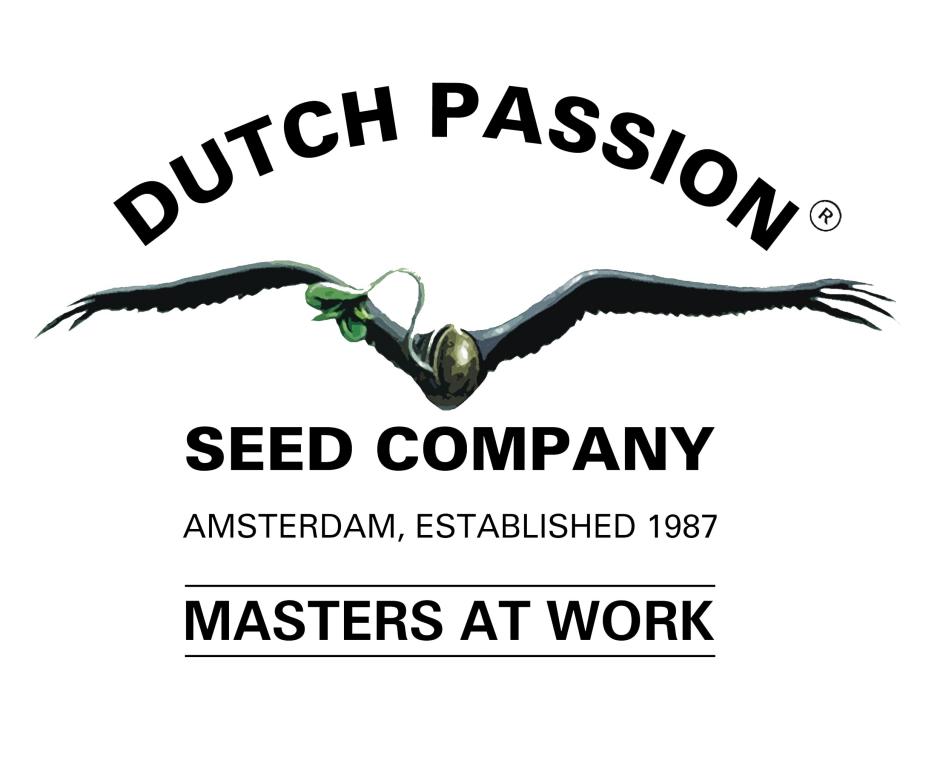 30 Years Of Dutch Passion