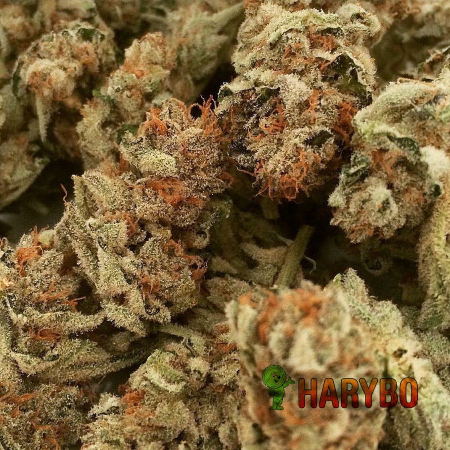 Zkiem dried buds