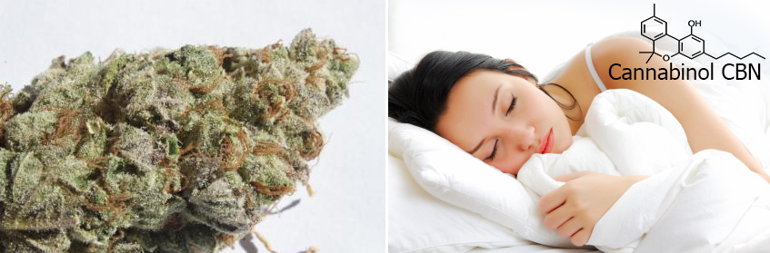 Well-cured cannabis or varieties rich in CBN can aid sleep