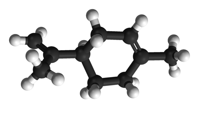 Limonene: An essential terpene in Nature