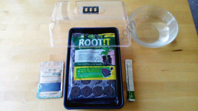 Necessary materials for rooting clones